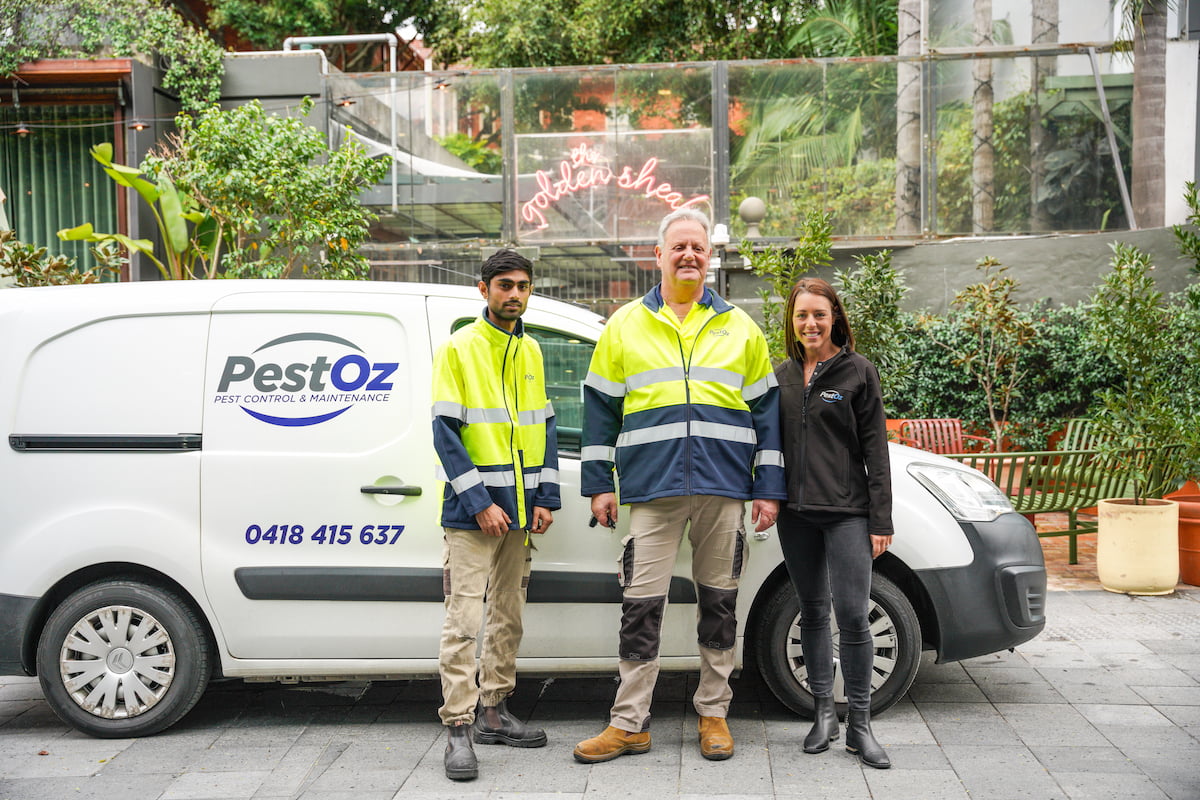 pestoz pest control eastern suburbs