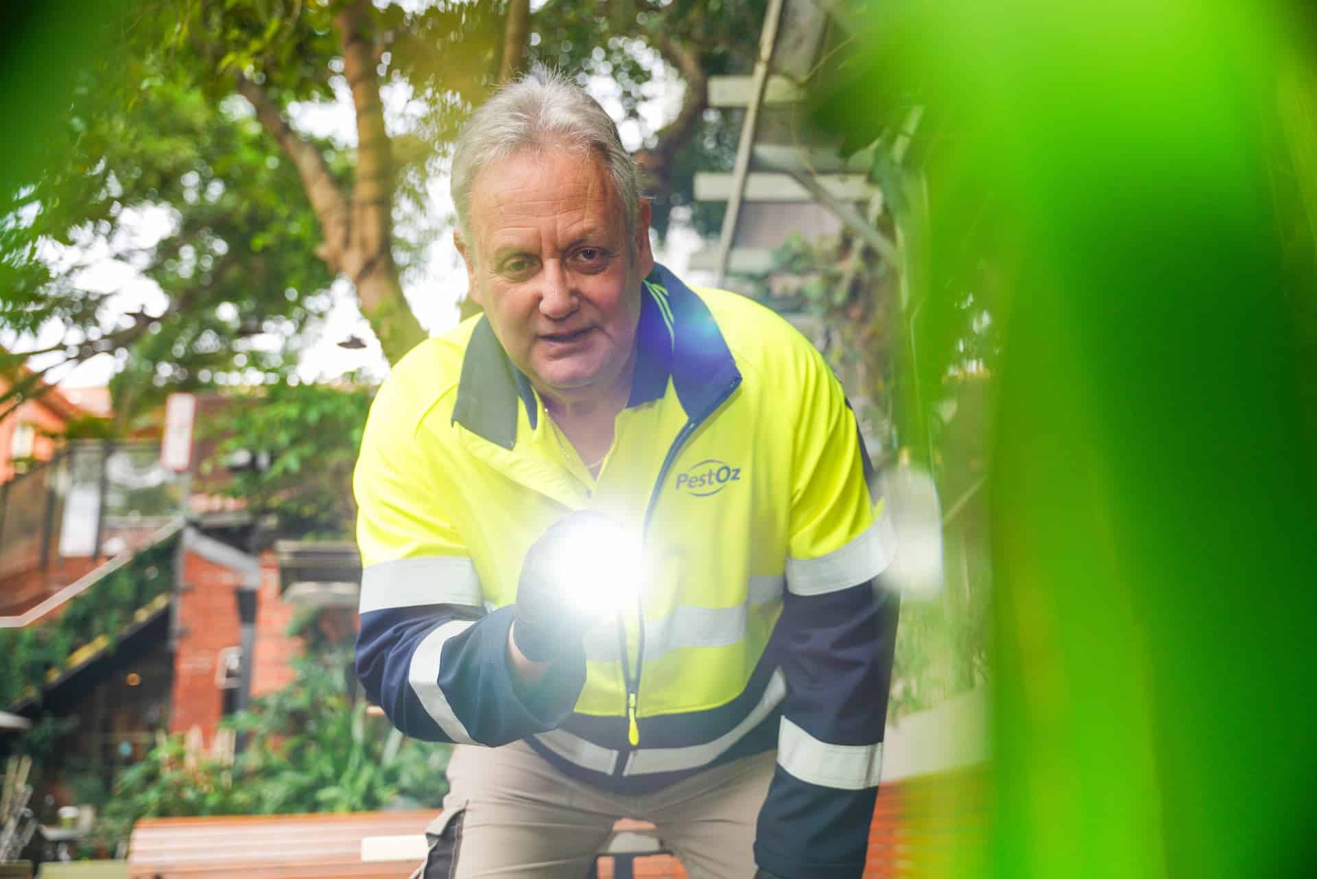 pestoz termite pest control