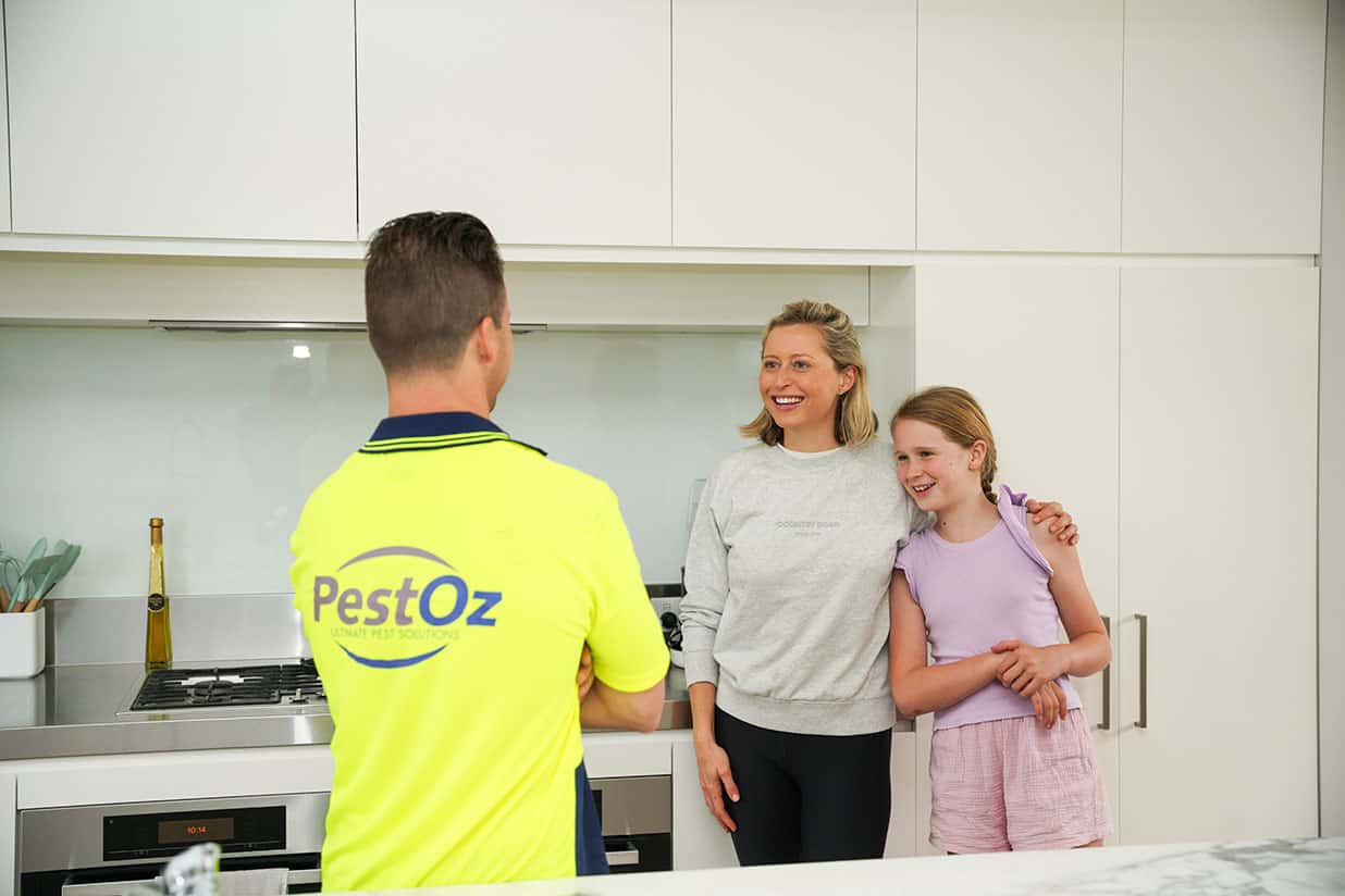 how to choose the best pest control in sydney pestoz