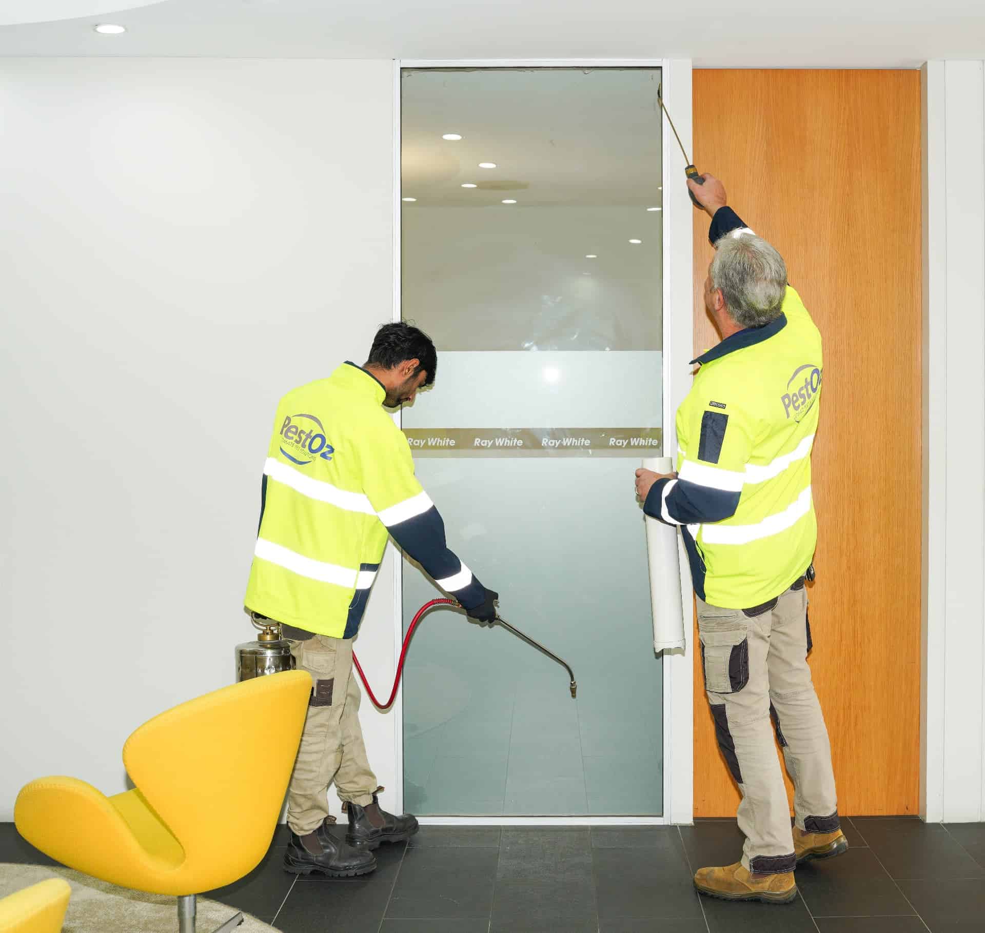 pest control commercial sydney