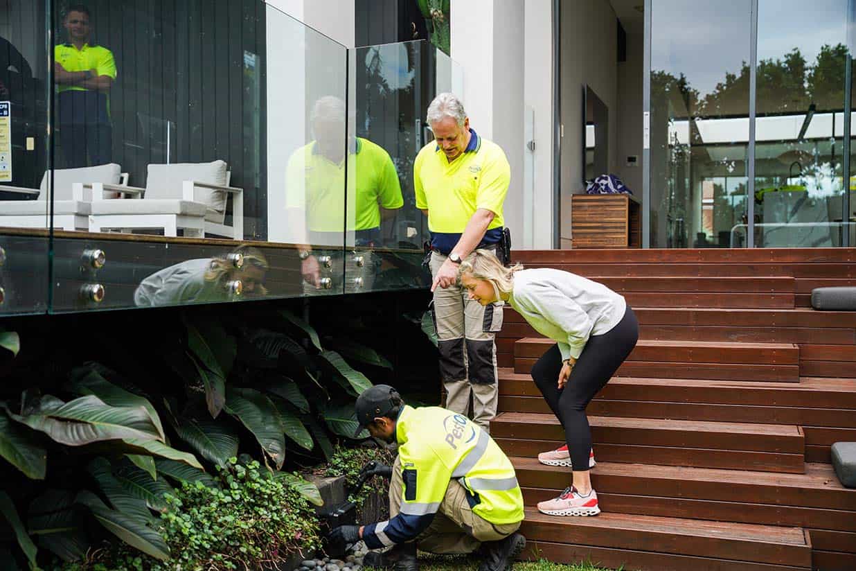 PestOz technicians inspecting a termite bait station in the garden of a modern eastern suburbs Sydney home while the homeowner watches